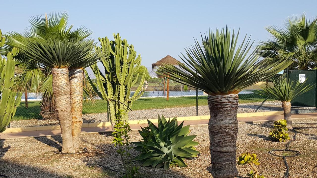 Apartments Sol De Almeria Golf Y Playa Retamar  Exterior photo